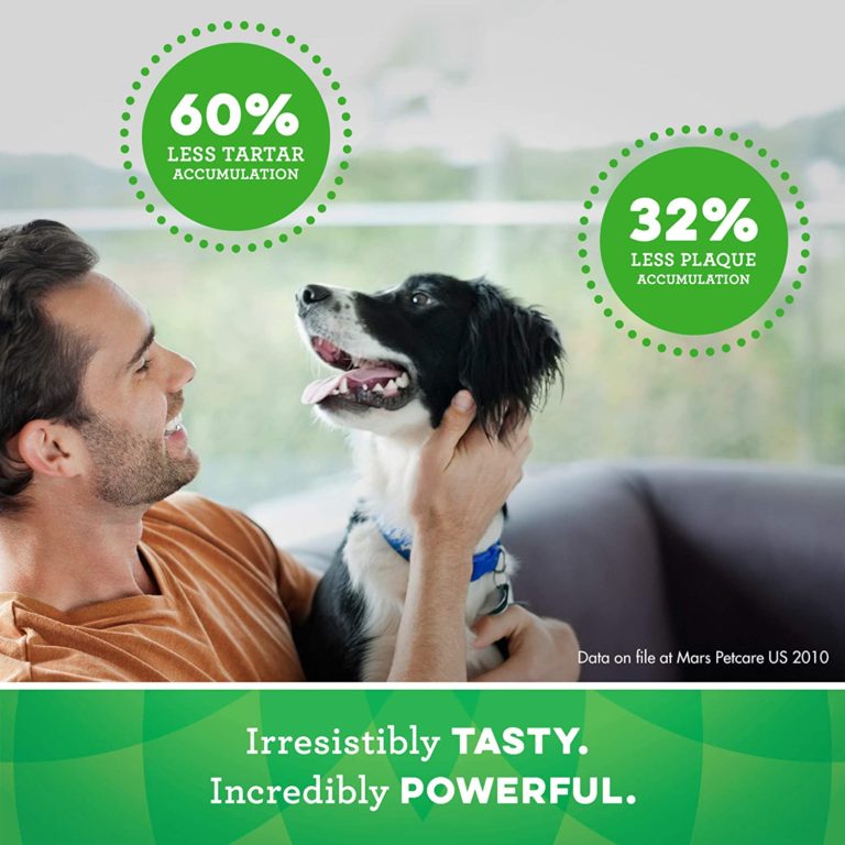 Greenies Review Are Greenies Safe For Pets? DFW Dog Quest