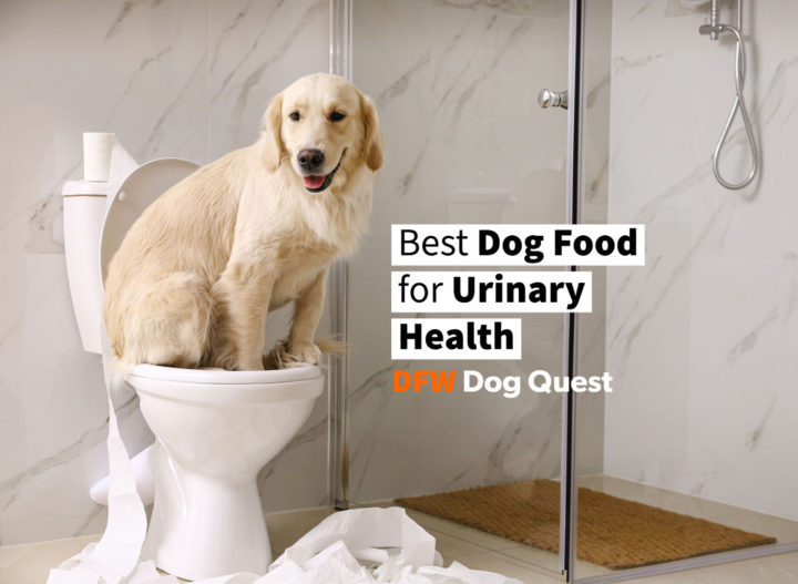 13 Best Dog Food for Urinary Health