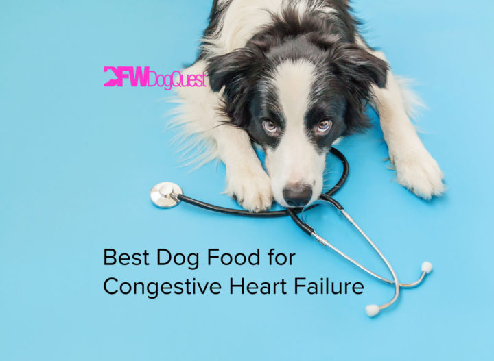 5-best-dog-food-for-congestive-heart-failure